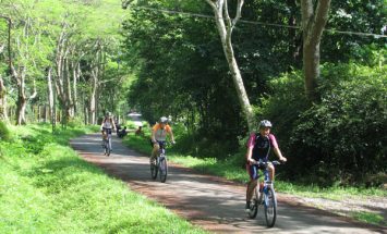 Bike To Cuc Phuong National Park And Mai Chau